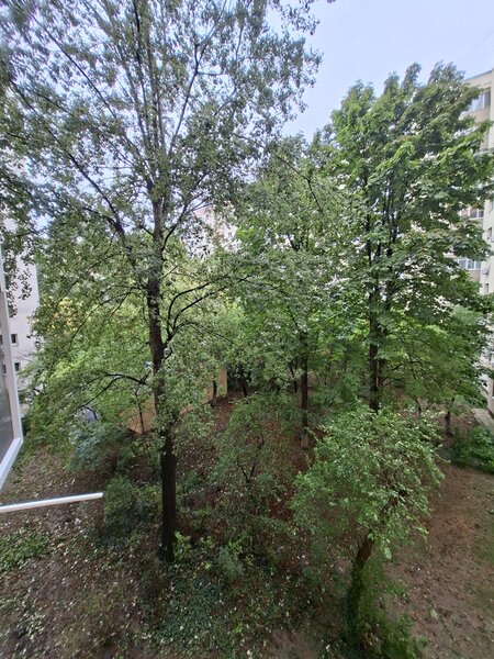 Obor, Colentina, Teiul Doamnei vav Sectia 7 Politie, 15 minute metrou